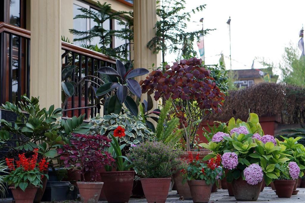 Swayambhu View Guest House กาฐมาณฑุ ภายนอก รูปภาพ